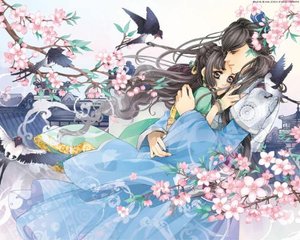 夜来香研究院